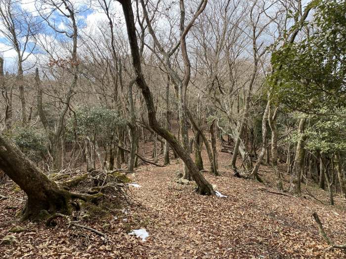 兵庫県丹波篠山市/多紀アルプスを縦走