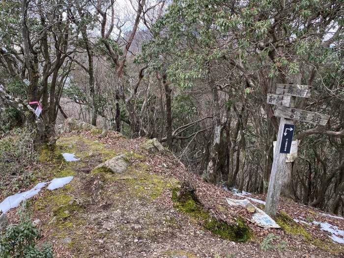 兵庫県丹波篠山市/多紀アルプスを縦走