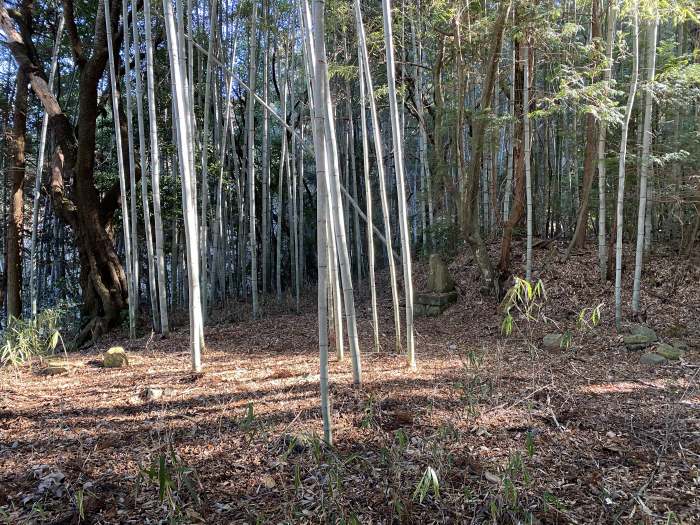 多紀郡四国八十八ヶ所霊場を訪ねて兵庫県丹波篠山市の日置方面を散策