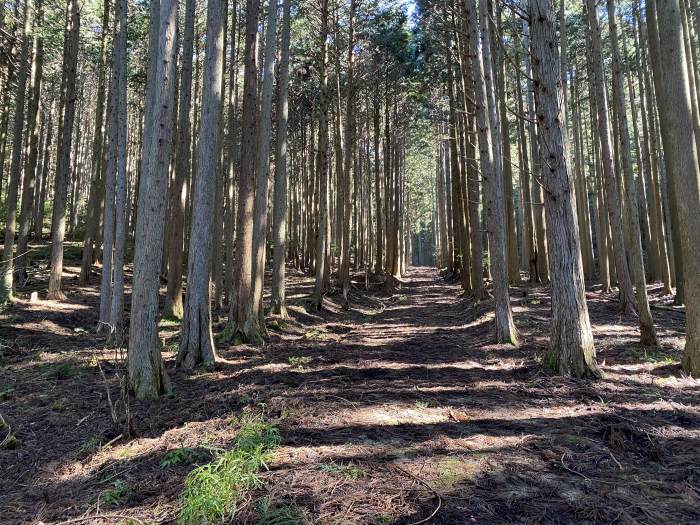 兵庫県丹波市氷上町/カヤマチ山へバイク走り