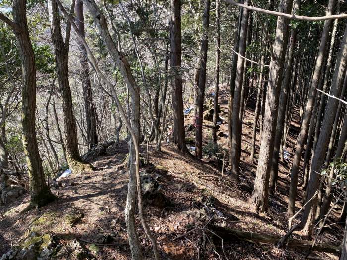 兵庫県丹波市氷上町/カヤマチ山へバイク走り