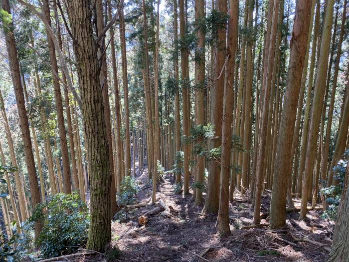 兵庫県丹波市氷上町/カヤマチ山へバイク走り