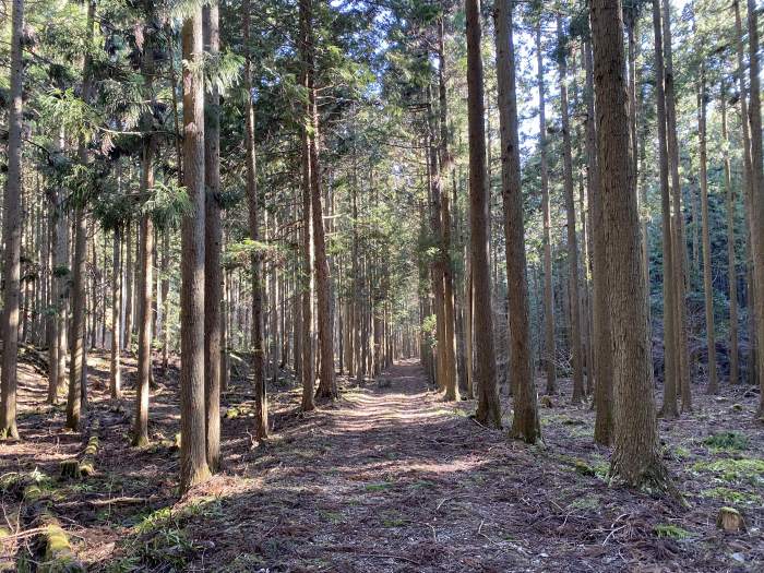 兵庫県丹波市氷上町/カヤマチ山へバイク走り