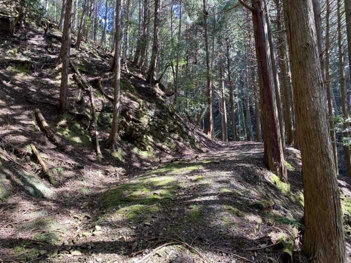 兵庫県丹波市青垣町遠阪/湯舟山へバイク走り