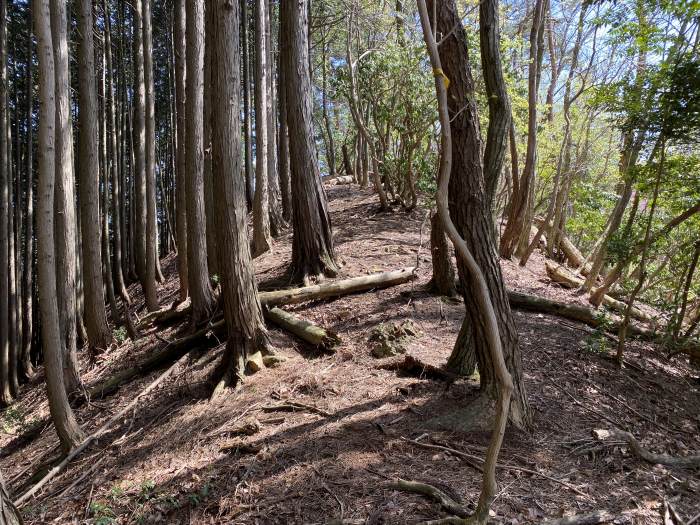 兵庫県丹波市青垣町遠阪/湯舟山へバイク走り