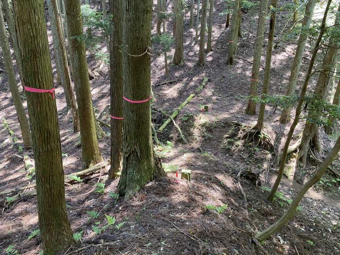 兵庫県丹波市青垣町/榎峠散策と高砂峰へバイク走り