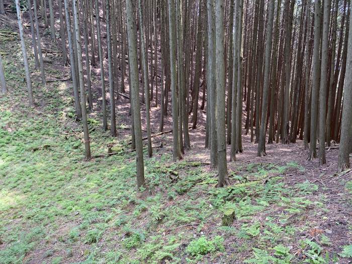 兵庫県丹波市青垣町/榎峠散策と高砂峰へバイク走り