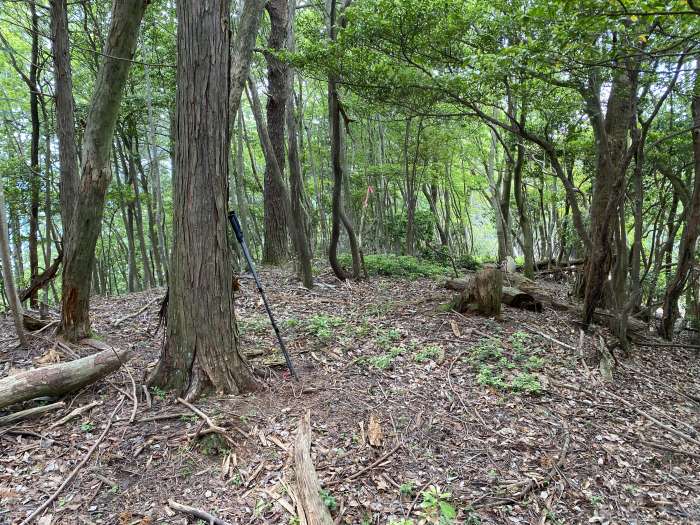 兵庫県丹波市青垣町/榎峠散策と高砂峰へバイク走り