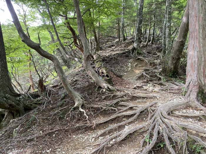 和歌山県伊都郡～奈良県吉野郡/四国八十八霊場満願御礼と八経ヶ岳へバイク走り