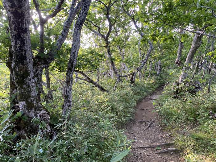 北海道/羅臼岳にも登って道東の旅