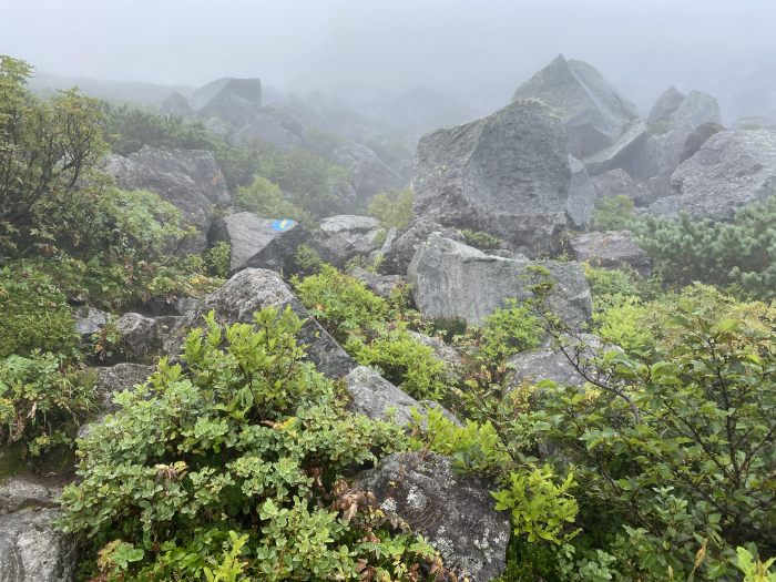 北海道/羅臼岳にも登って道東の旅