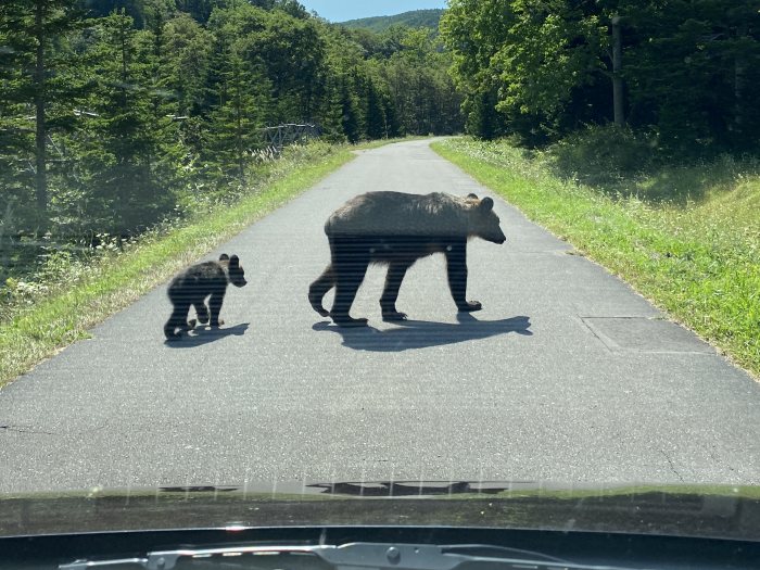 北海道/羅臼岳にも登って道東の旅