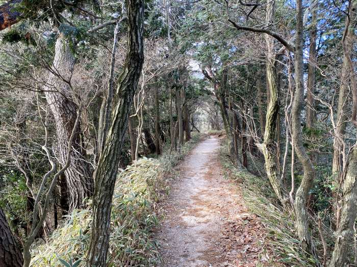 兵庫県神戸市/六甲山最高峰と西宮市/甲山を散策