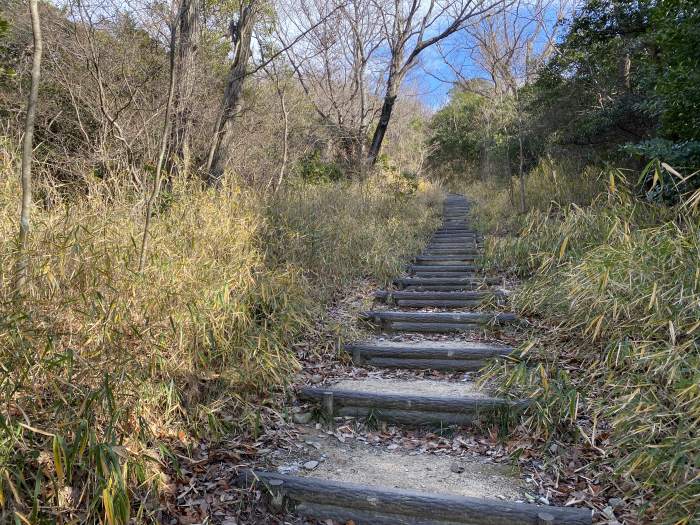 兵庫県神戸市/六甲山最高峰と西宮市/甲山を散策