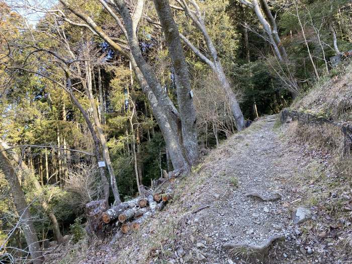 兵庫県宝塚市切畑/武田尾廃線敷と大峰山を散策