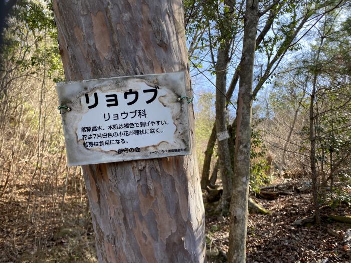 兵庫県宝塚市切畑/武田尾廃線敷と大峰山を散策