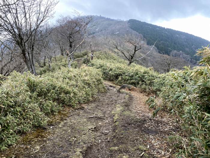 岡山県美作市/駒の尾山～兵庫県宍粟市/おごしき山を散策