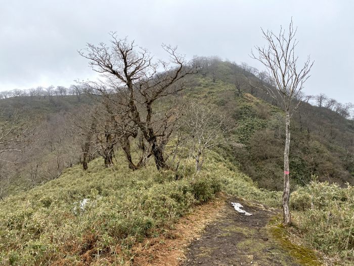 岡山県美作市/駒の尾山～兵庫県宍粟市/おごしき山を散策