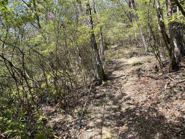 兵庫県西脇市比延町/比延山へバイク走り