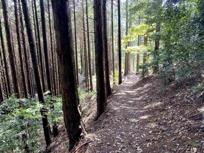 滋賀県大津市坂本本町/比叡山無動寺回峰道へバイク走り