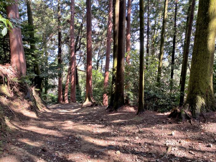 滋賀県大津市坂本本町/比叡山無動寺回峰道へバイク走り