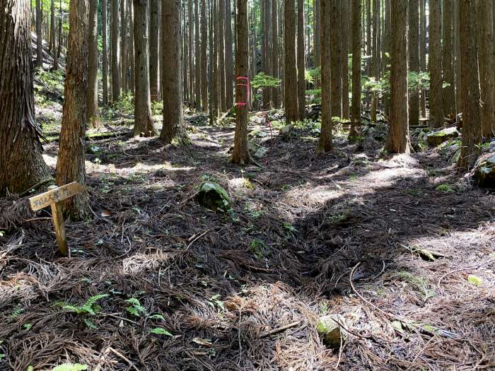 兵庫県宍粟市千種町西河内/空山へバイク走り