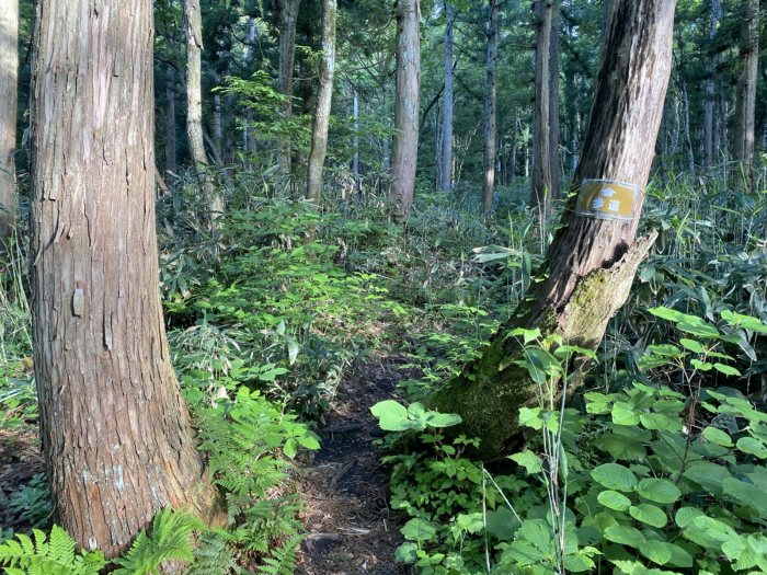 鳥取県日野郡江府町御机/烏ヶ山へバイク走り