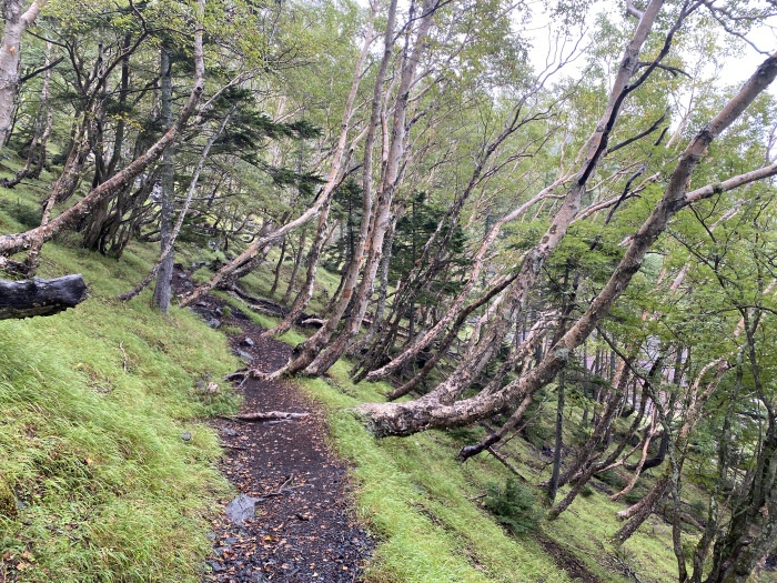 静岡県/南アルプス･茶臼岳と富士山須走ルート登山の車中泊旅