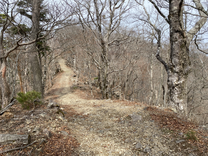 大阪府/岩湧山～奈良県/伯母子岳･熊野古道小辺路～和歌山県/熊野古道中辺路･潮岬を散策