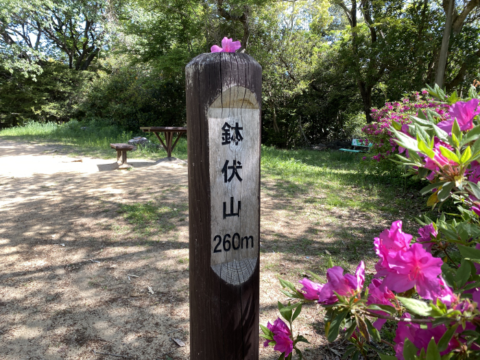 兵庫県神戸市/須磨アルプスを散策