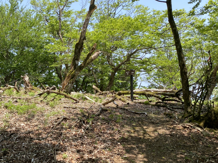 京都府宮津市/由良ヶ岳へバイク走り