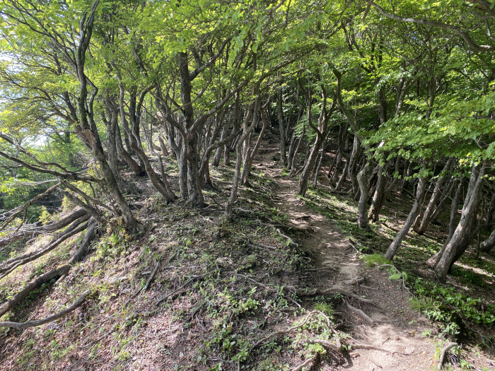 滋賀県東近江市/釈迦ヶ岳へバイク走り