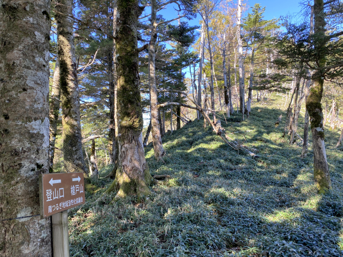 撮影:2025.10.10 徳島県/剣山スーパー林道~高知県/UFOライン~愛媛県/星ヶ森へバイク走り