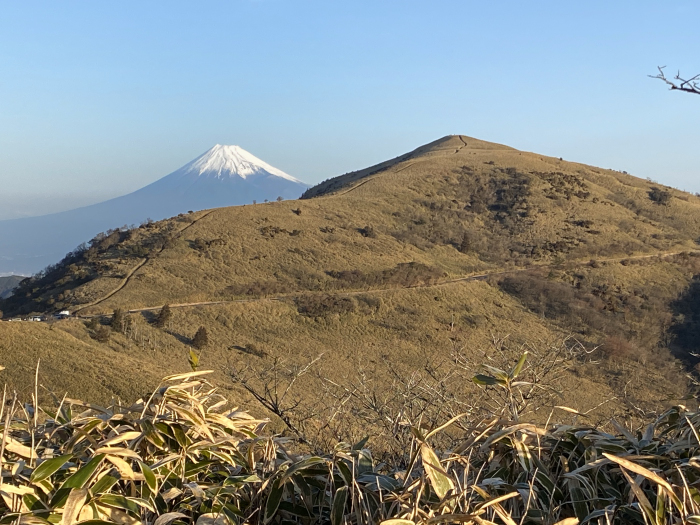 静岡県/伊豆半島巡りの旅