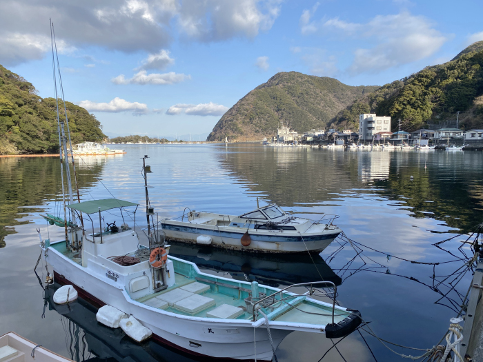 静岡県/伊豆半島巡りの旅
