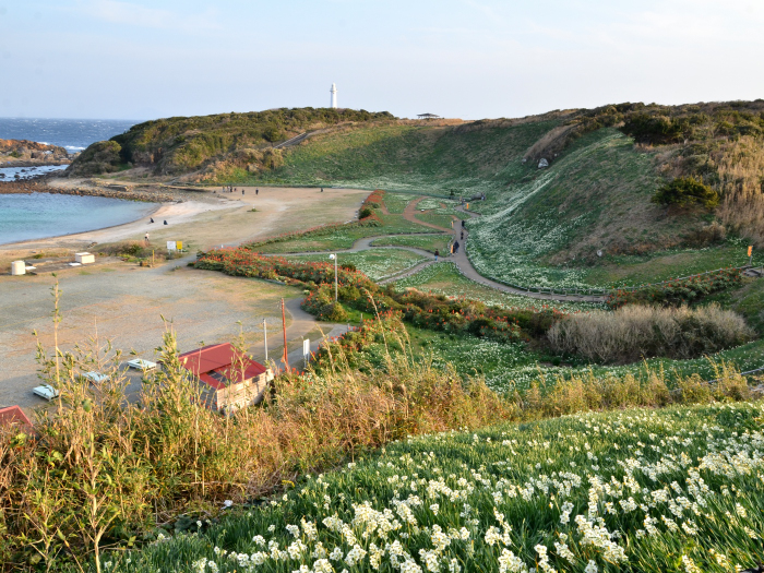 静岡県/伊豆半島巡りの旅