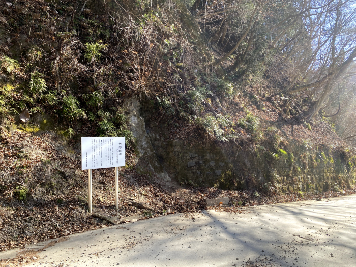 静岡県/伊豆半島巡りの旅