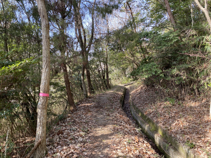 兵庫県三田市/大谷山を散策