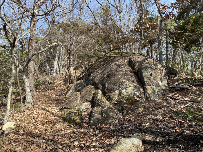 兵庫県三田市/大谷山を散策