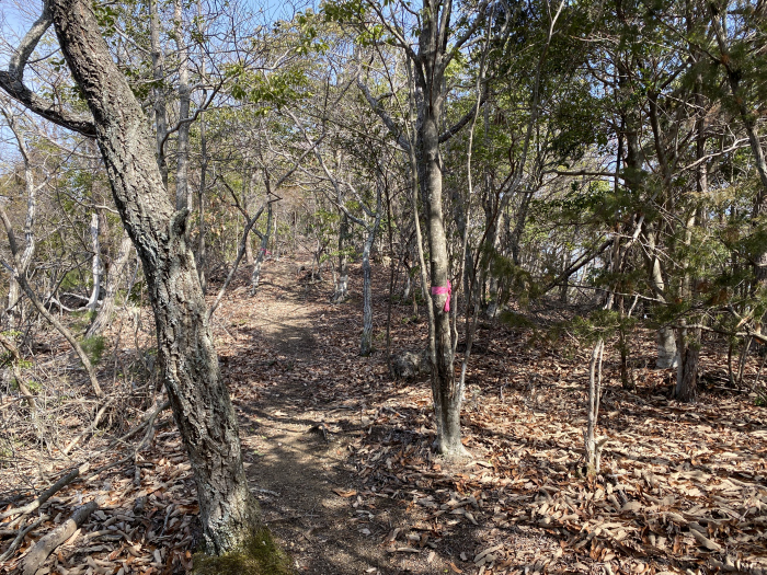 兵庫県三田市/大谷山を散策