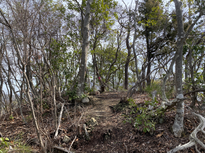 兵庫県三田市/大谷山を散策